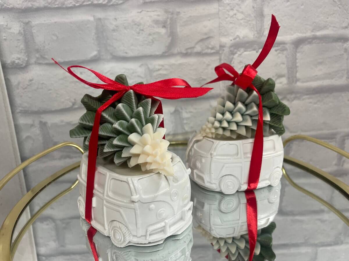 Van And Christmas Tree!